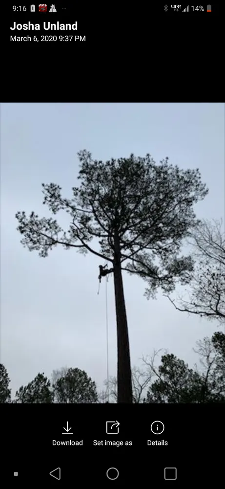 Custom garden landscaping for residential properties in Ruther Glen, VA by Straight Cuts Tree & Lawn Care