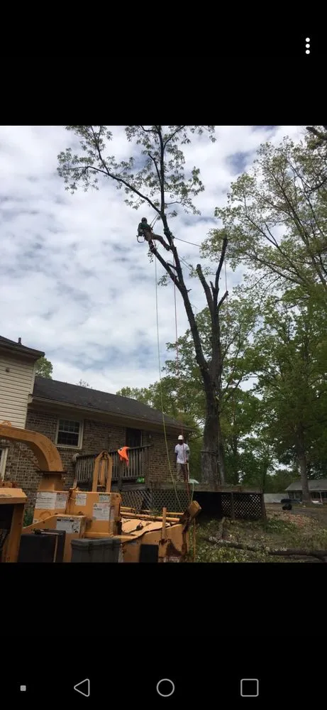 Expert yard maintenance for outdoor upgrades across Ruther Glen, VA - Straight Cuts Tree & Lawn Care