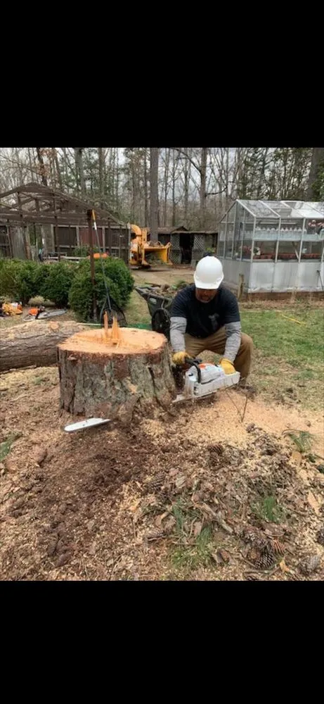 Custom yard maintenance experts serving Ruther Glen, VA - Straight Cuts Tree & Lawn Care