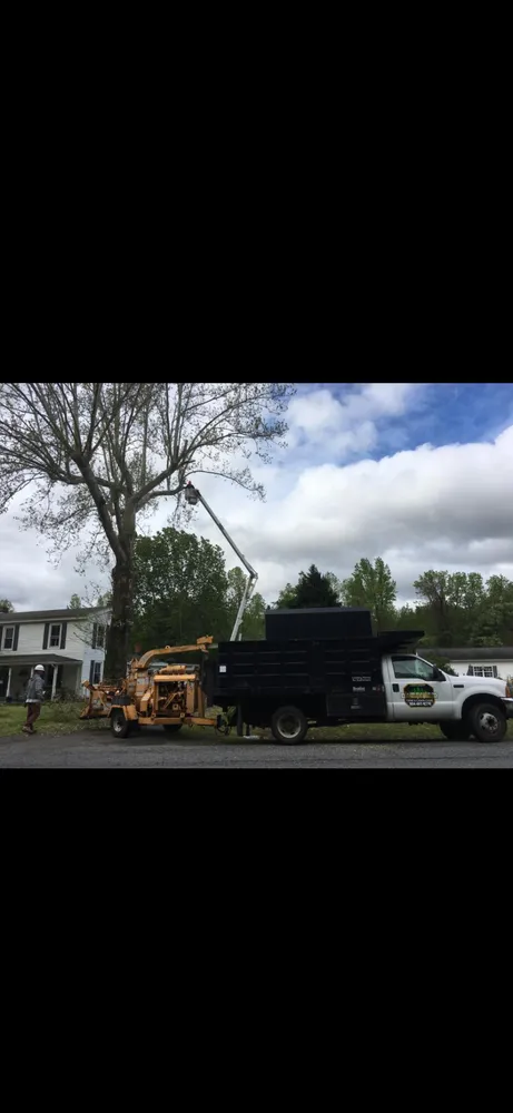 Reliable garden landscaping in Ruther Glen, VA - Straight Cuts Tree & Lawn Care