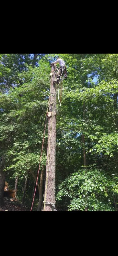 Affordable residential landscaping experts serving Ruther Glen, VA - Straight Cuts Tree & Lawn Care