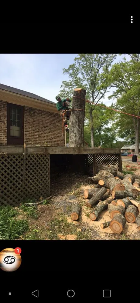 Expert yard cleanup service near you in Ruther Glen, VA by Straight Cuts Tree & Lawn Care