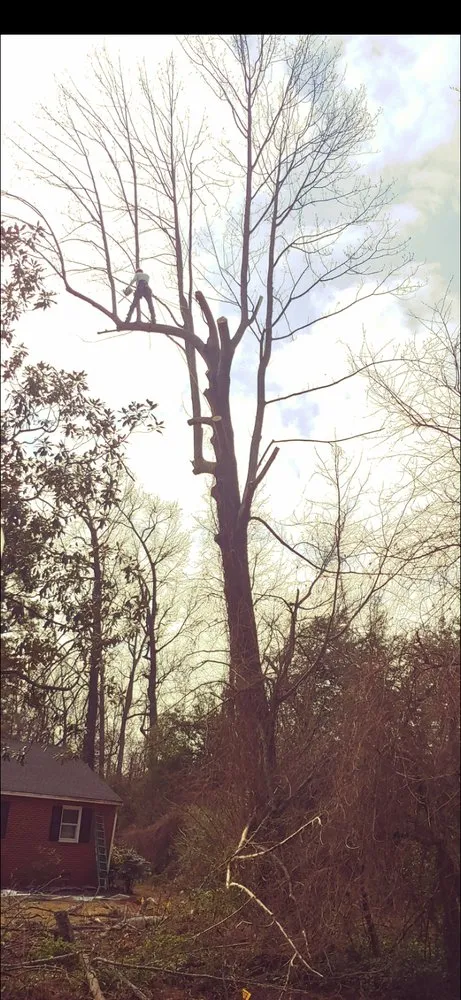 Professional garden landscaping for year-round maintenance across Ruther Glen, VA - Straight Cuts Tree & Lawn Care