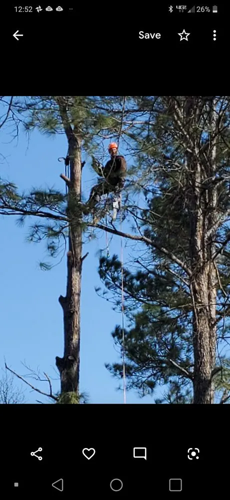 Affordable outdoor landscaping for beautiful yards across Ruther Glen, VA - Straight Cuts Tree & Lawn Care