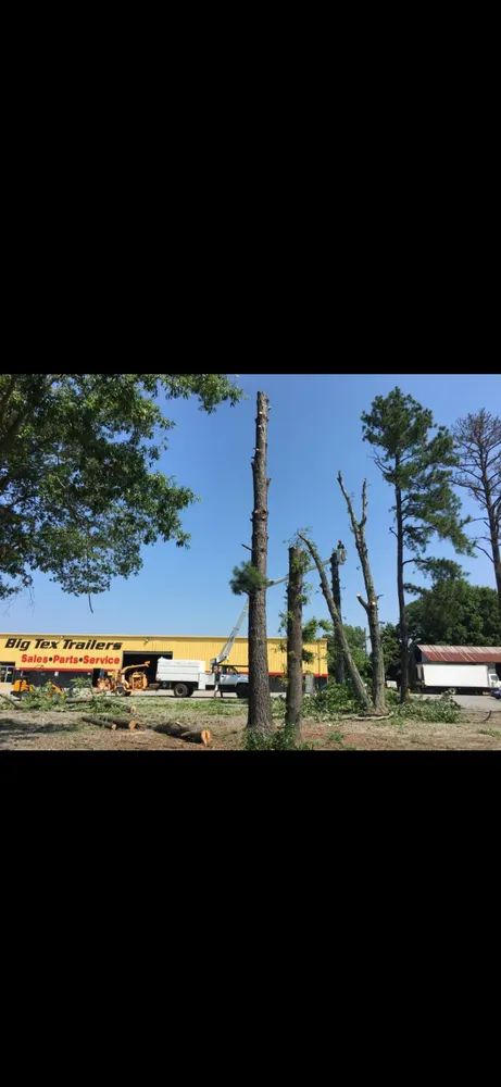 Professional landscape installation for residential properties across Ruther Glen, VA - Straight Cuts Tree & Lawn Care