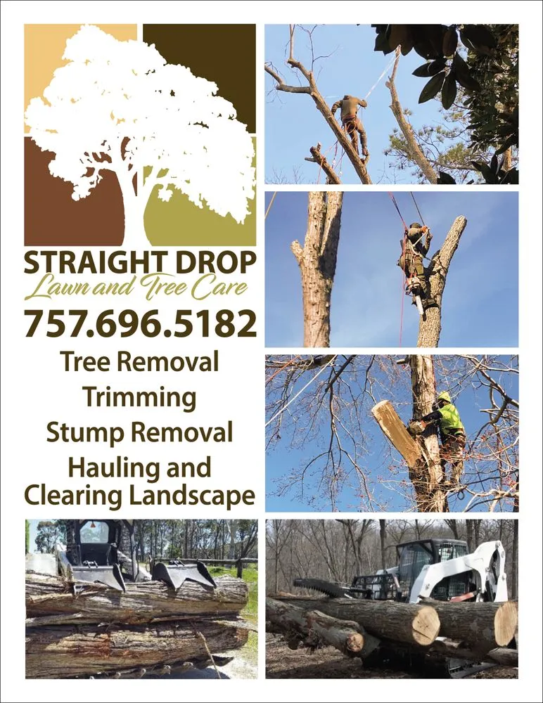 Local lawn care service with custom design in Hampton, VA by Straight Drop Lawn & Tree Care