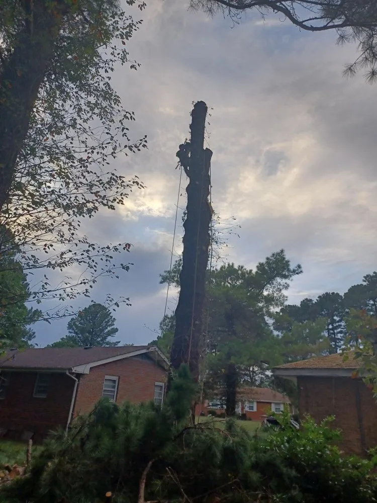 Reliable garden landscaping for homes in Hampton, VA by Straight Drop Lawn & Tree Care