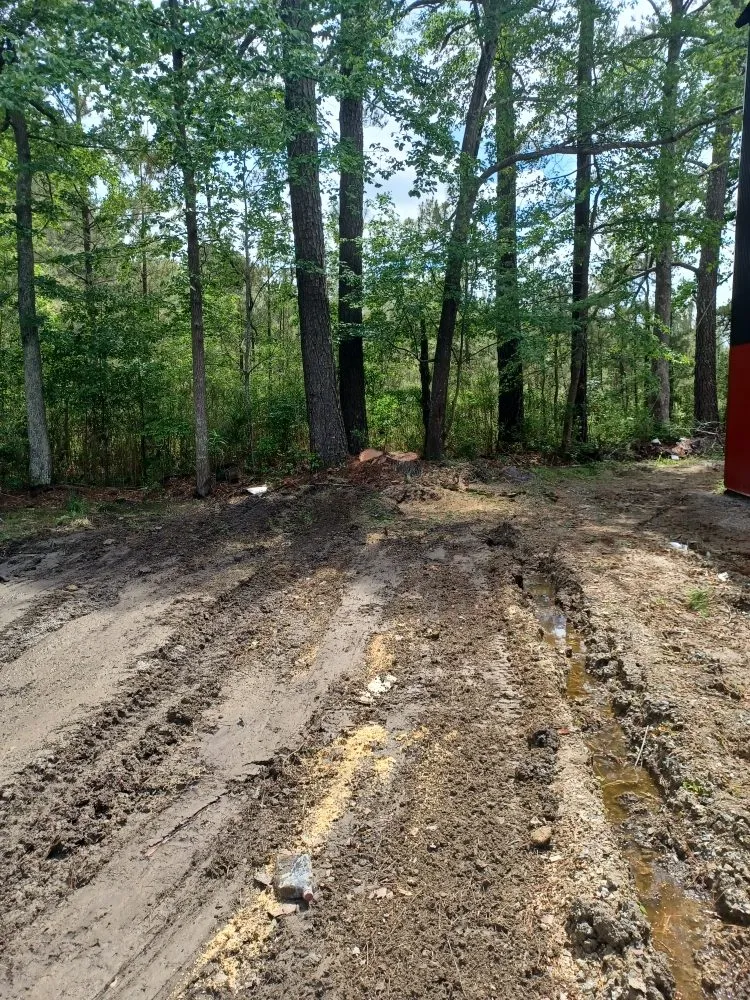 Professional yard cleanup service in Hampton, VA by Straight Drop Lawn & Tree Care