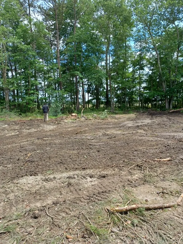 Trusted residential landscaping experts serving Hampton, VA - Straight Drop Lawn & Tree Care