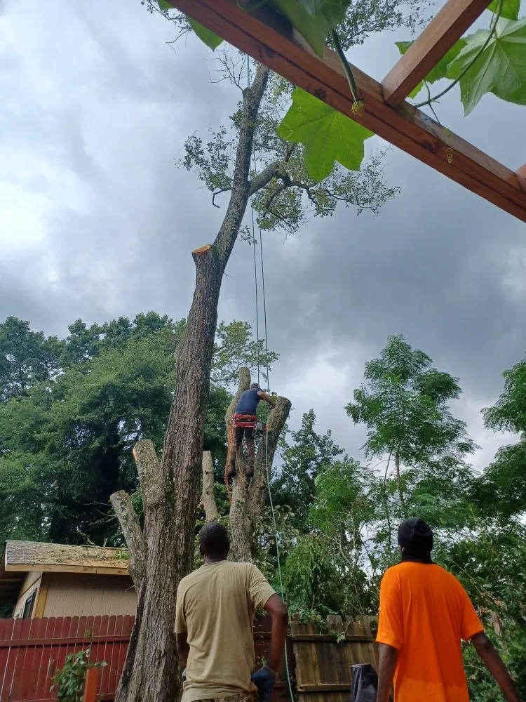 Affordable residential landscaping for year-round maintenance in Hampton, VA by Straight Drop Lawn & Tree Care