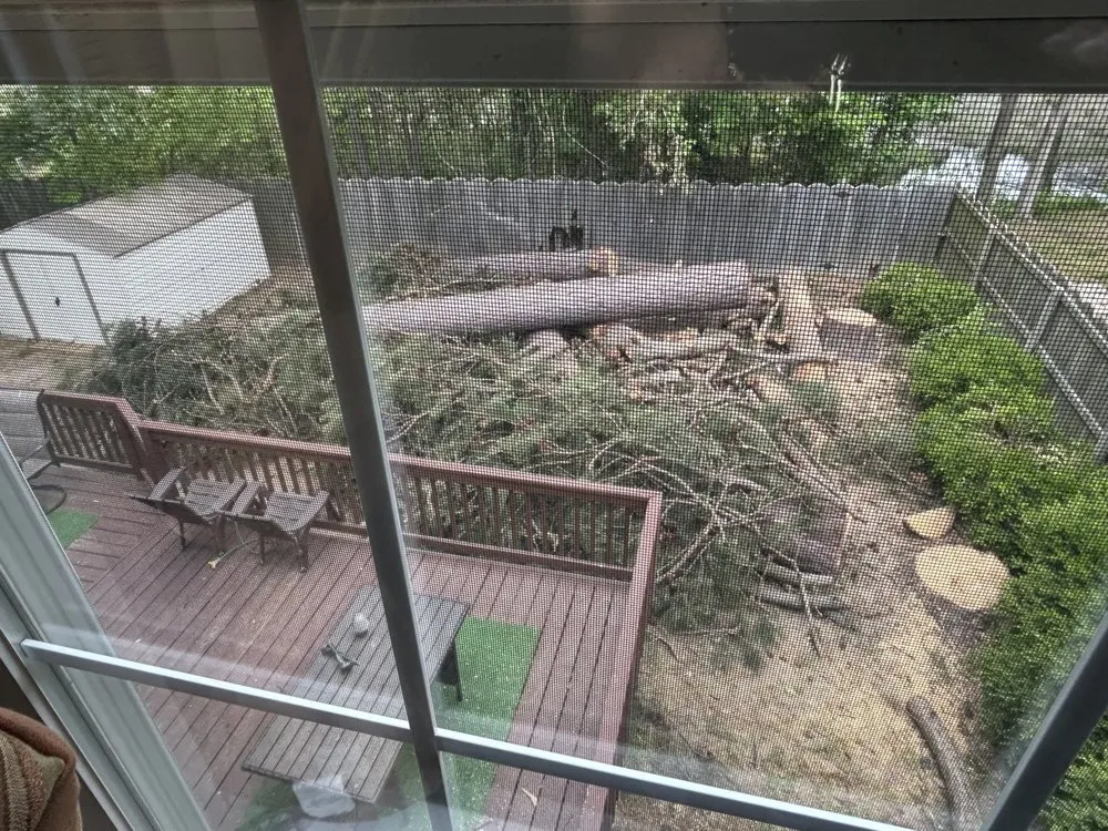 Custom landscaping services for year-round maintenance across Hampton, VA - Straight Drop Lawn & Tree Care