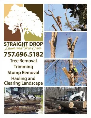 Straight Drop Lawn & Tree Care Logo