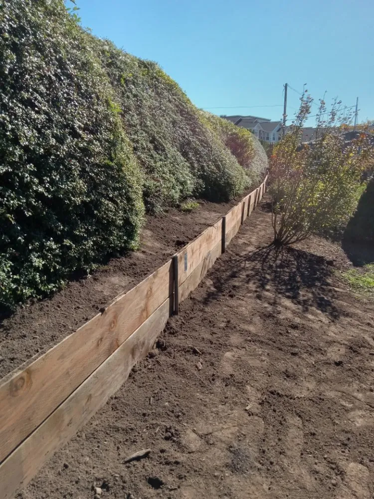 Reliable residential landscaping experts serving Beaverton, OR - Straight Edge Landscaping & More