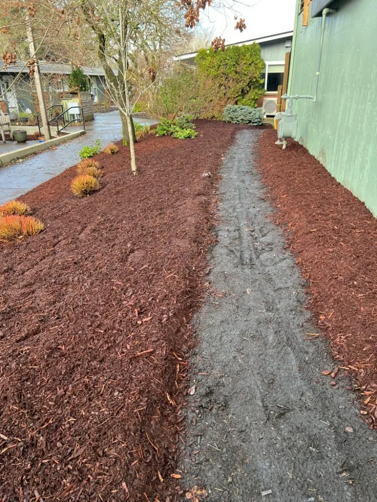 Local lawn care service near you in Beaverton, OR by Straight Edge Landscaping & More