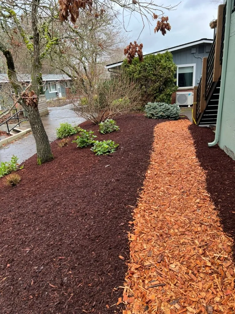 Affordable yard cleanup service experts serving Beaverton, OR - Straight Edge Landscaping & More