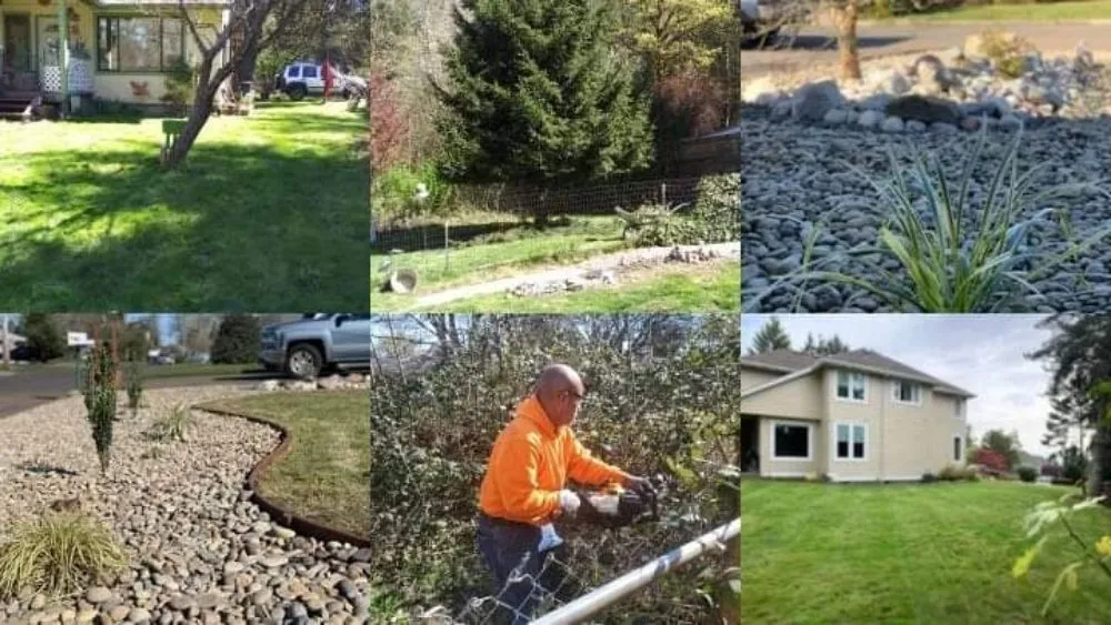 Professional yard maintenance in Beaverton, OR - Straight Edge Landscaping & More