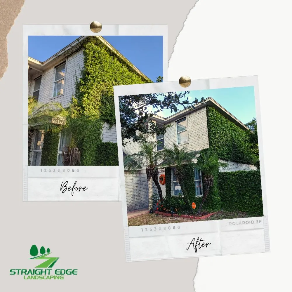 Reliable landscaping services in Olmito, TX by Straight Edge Landscaping