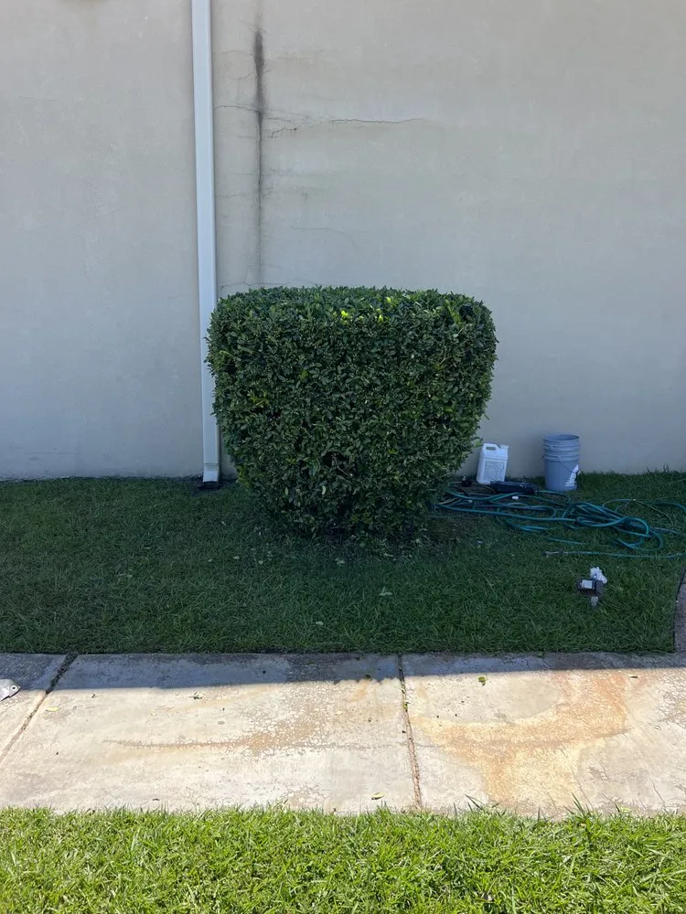Reliable landscaping services with custom design across Moselle, MS - Straight Edge Lawn Care