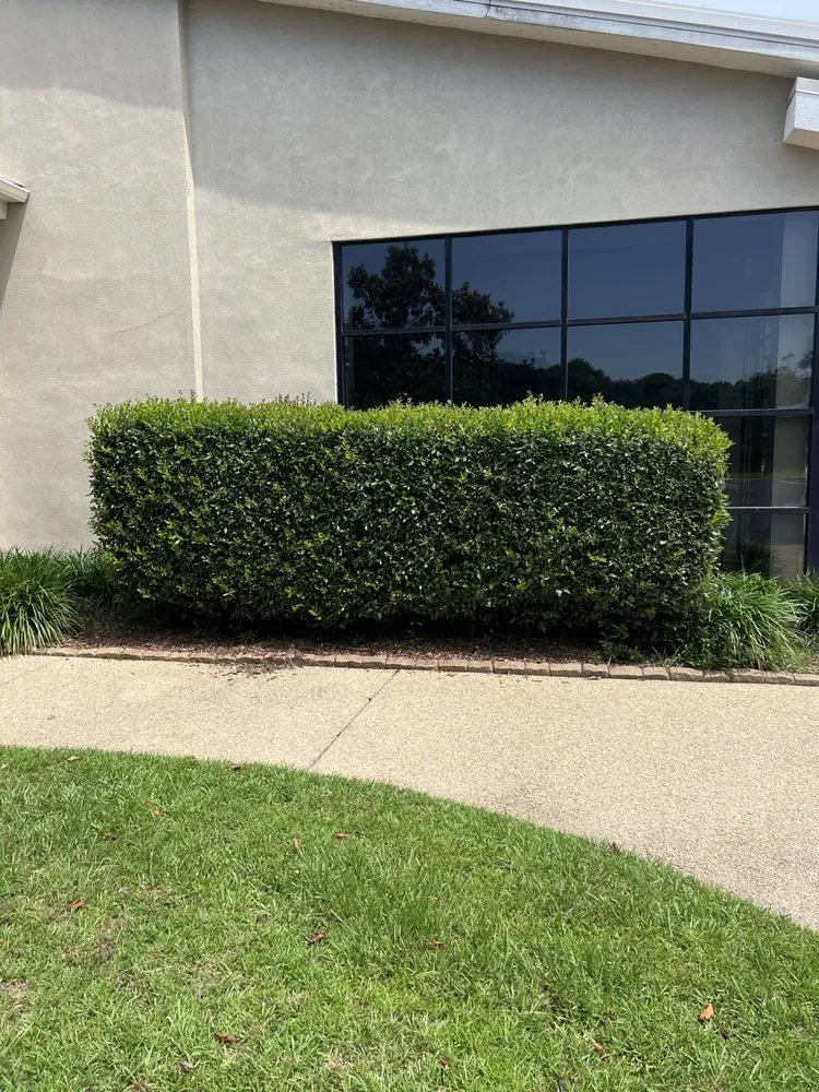 Custom garden landscaping in Moselle, MS - Straight Edge Lawn Care