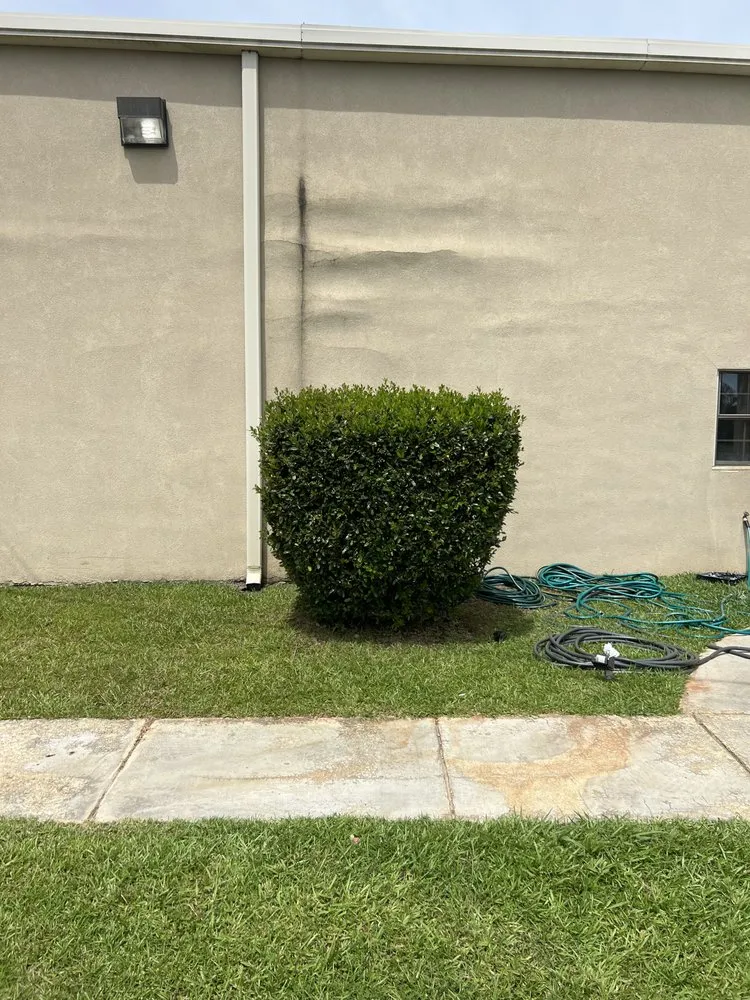 Custom lawn mowing service in Moselle, MS by Straight Edge Lawn Care
