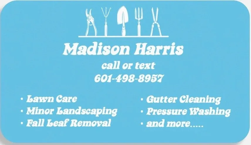 Expert yard maintenance in Moselle, MS - Straight Edge Lawn Care