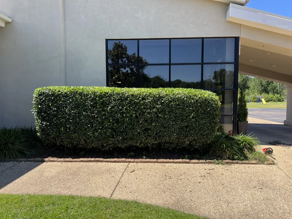 Top-rated lawn care service with custom design in Moselle, MS by Straight Edge Lawn Care