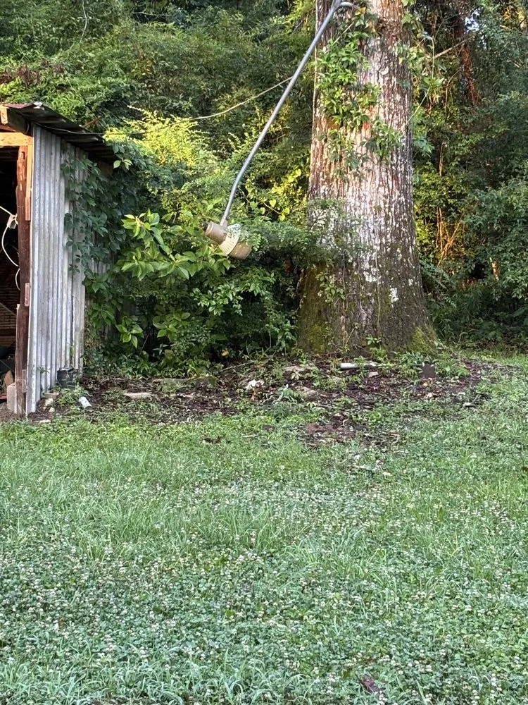 Top-rated landscape design in Moselle, MS by Straight Edge Lawn Care