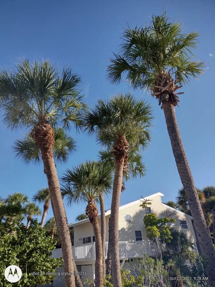 Local residential landscaping for year-round maintenance across North Port, FL - Straight Edge Lawn Care Service