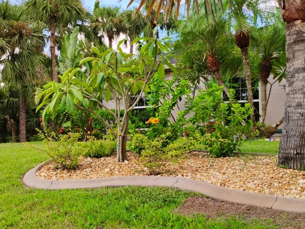 Affordable outdoor landscaping for outdoor upgrades in North Port, FL by Straight Edge Lawn Care Service