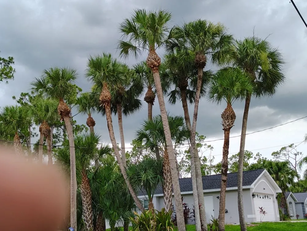 Expert outdoor landscaping experts serving North Port, FL - Straight Edge Lawn Care Service