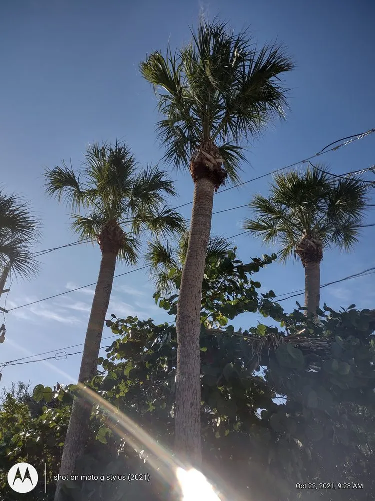 Custom landscape design experts serving North Port, FL - Straight Edge Lawn Care Service