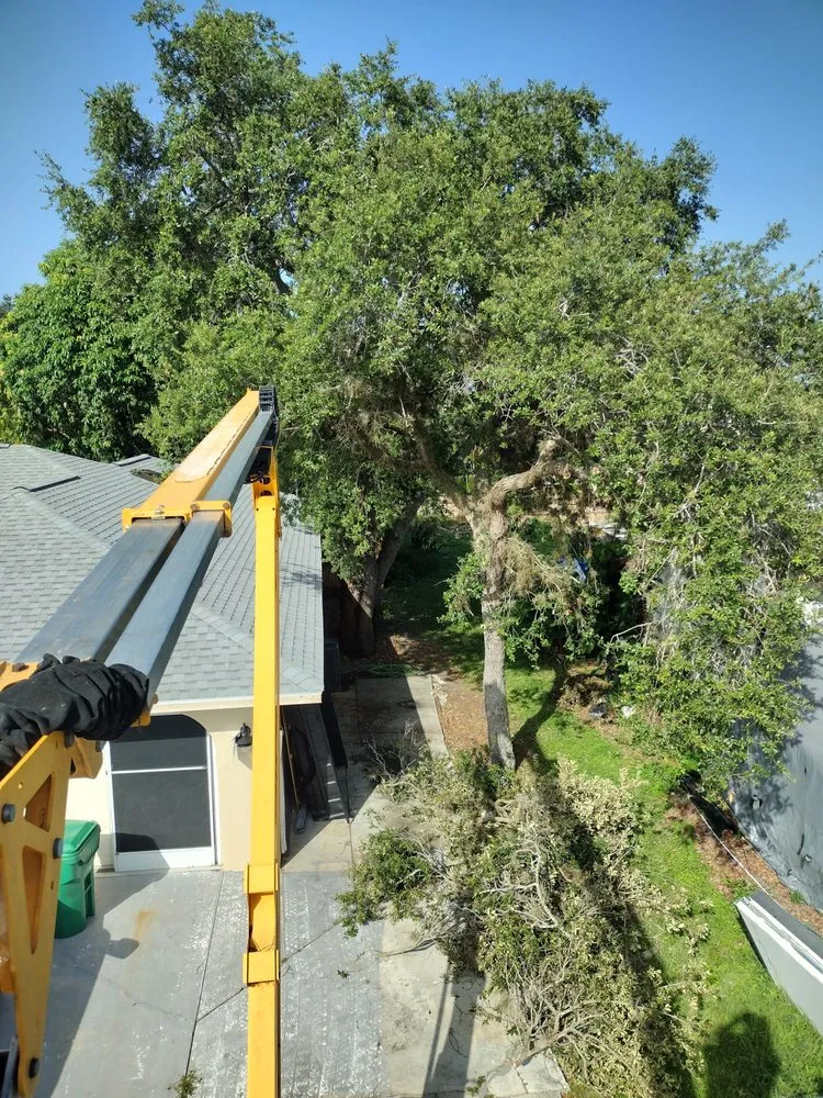 Affordable garden landscaping in North Port, FL - Straight Edge Lawn Care Service