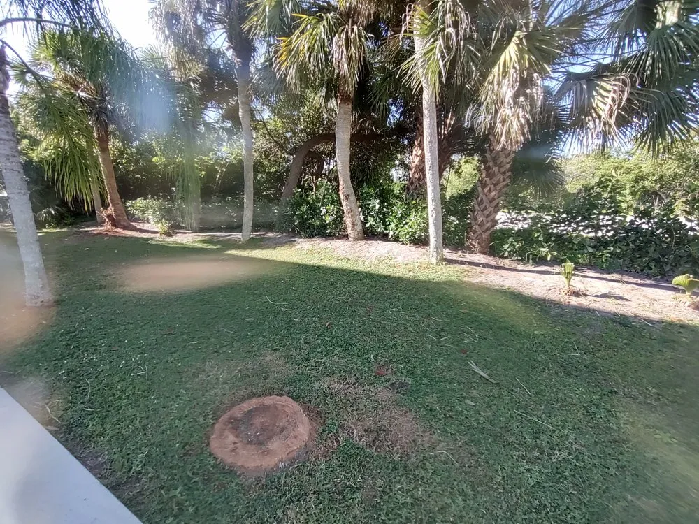 Expert lawn mowing service for beautiful yards across North Port, FL - Straight Edge Lawn Care Service