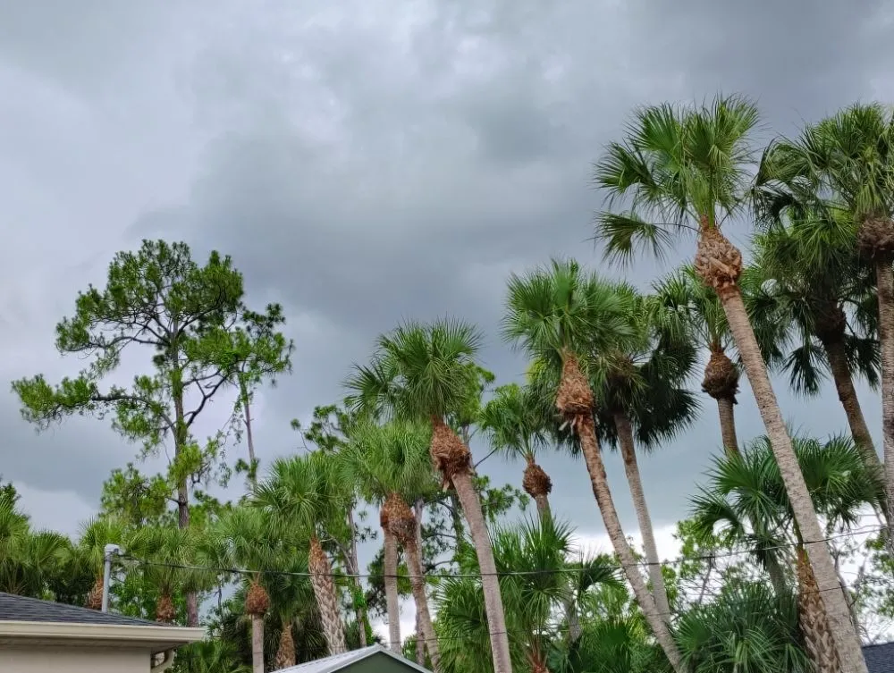 Affordable residential landscaping in North Port, FL by Straight Edge Lawn Care Service