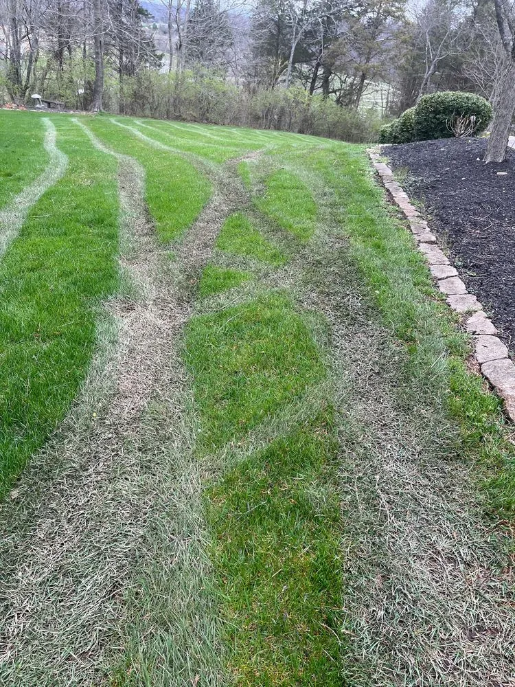 Expert lawn care service in Louisville, KY - Straight Edgez Lawn Care