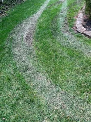 Straight Edgez Lawn Care Logo