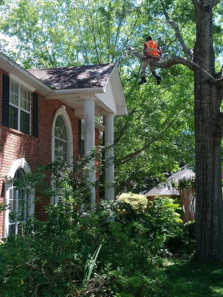 Reliable landscape design for residential properties in Molino, FL by Straight Finesse Property Solutions