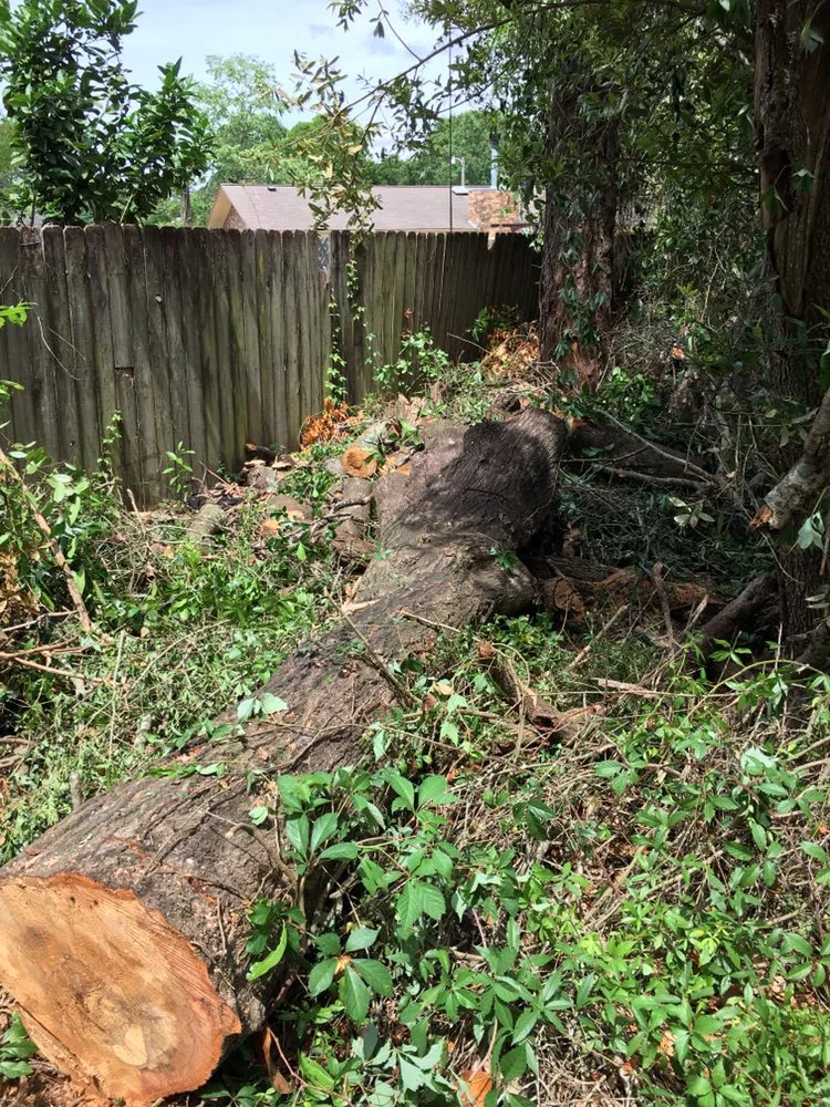 Affordable landscape installation for year-round maintenance in Molino, FL by Straight Finesse Property Solutions