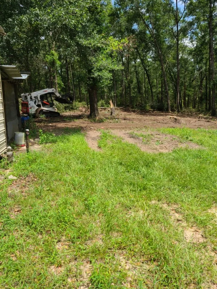 Professional yard cleanup service experts serving Molino, FL - Straight Finesse Property Solutions