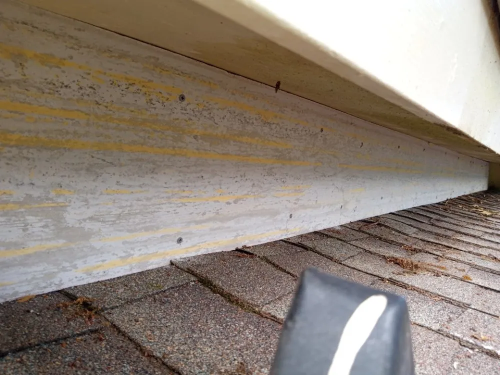 Professional landscaping services in Molino, FL by Straight Finesse Property Solutions