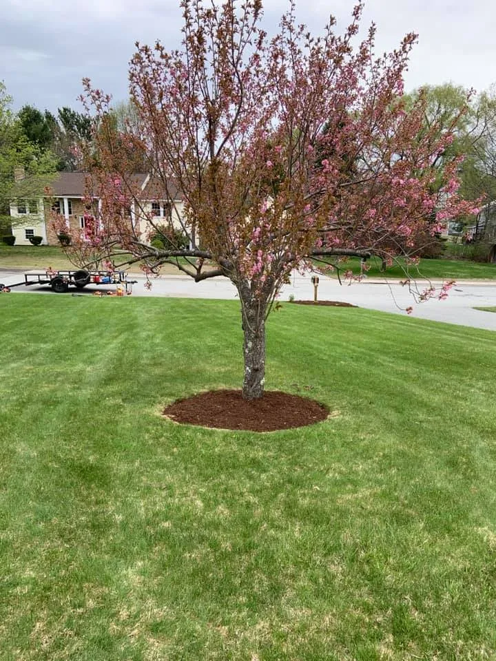 Top-rated lawn mowing service in Methuen, MA - Straight Line Landscaping