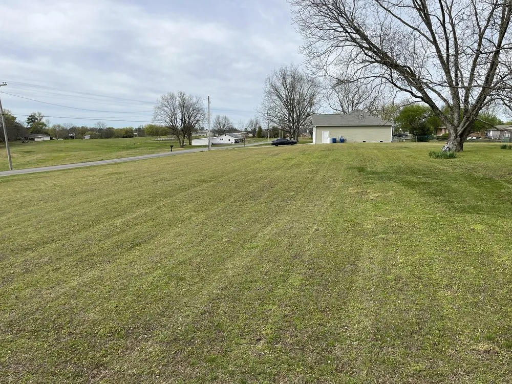 Professional yard cleanup service in Grant, AL - Straight Line Lawn Care