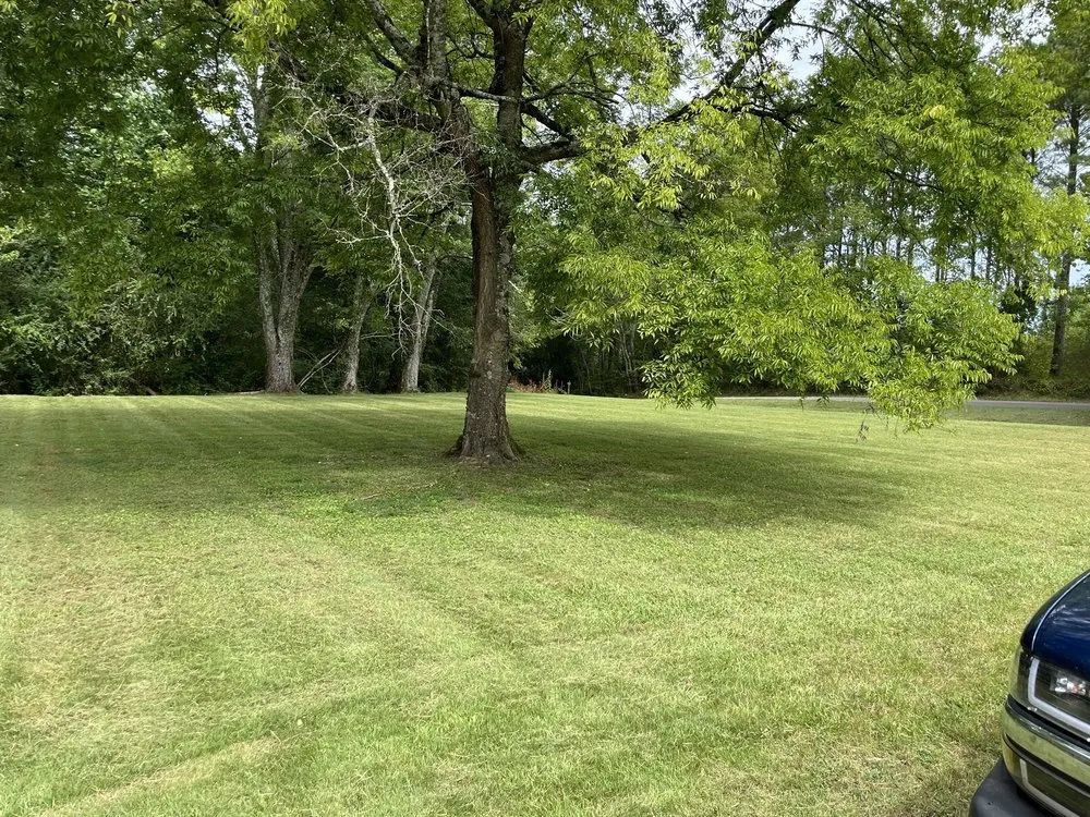 Custom outdoor landscaping in Grant, AL by Straight Line Lawn Care