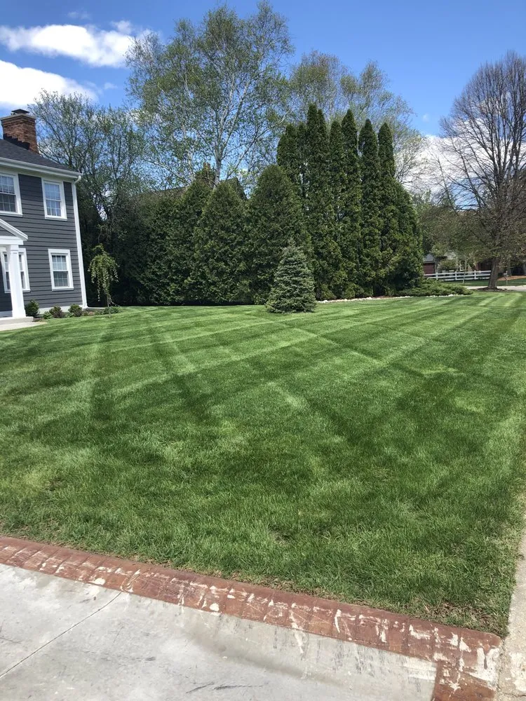 Professional yard cleanup service for residential properties across Hales Corners, WI - Straight Line Lawn Care