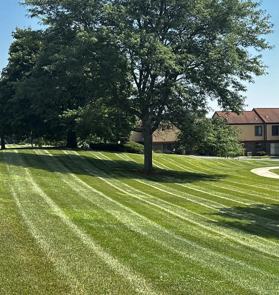 Reliable landscape installation for outdoor upgrades across Hales Corners, WI - Straight Line Lawn Care