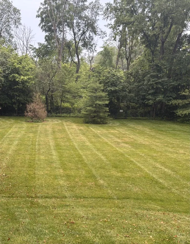 Affordable residential landscaping for homes across Hales Corners, WI - Straight Line Lawn Care
