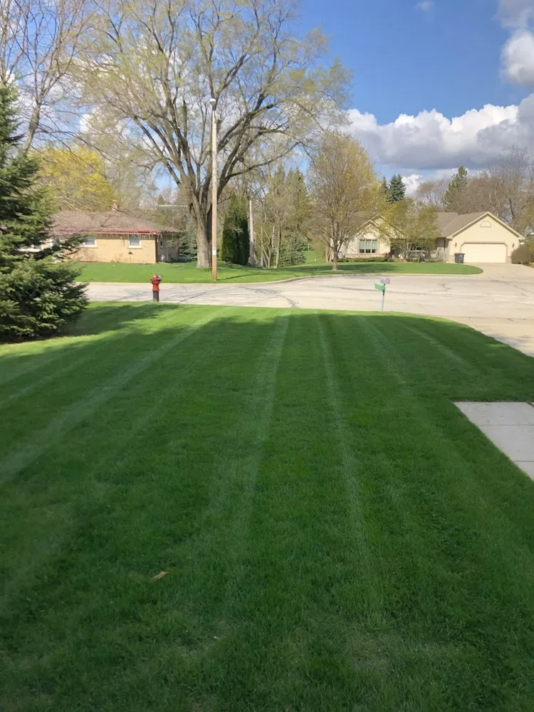 Affordable yard cleanup service in Hales Corners, WI - Straight Line Lawn Care