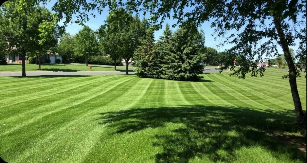 Trusted yard cleanup service experts serving Toledo, OH - Straight Line Lawn Care Service