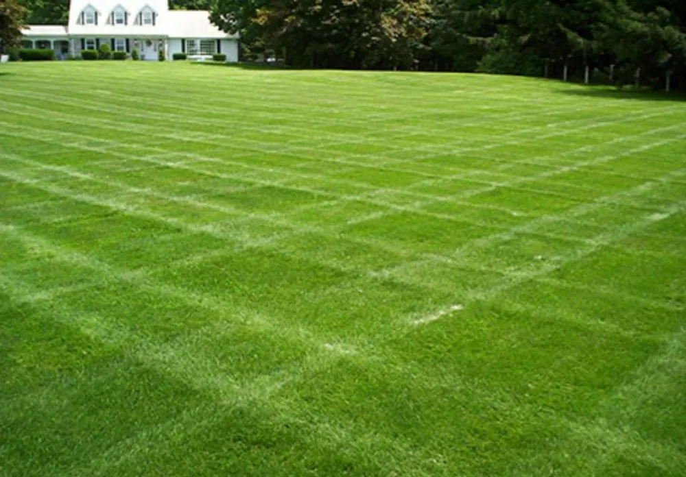 Top-rated lawn care service in Toledo, OH - Straight Line Lawn Care Service