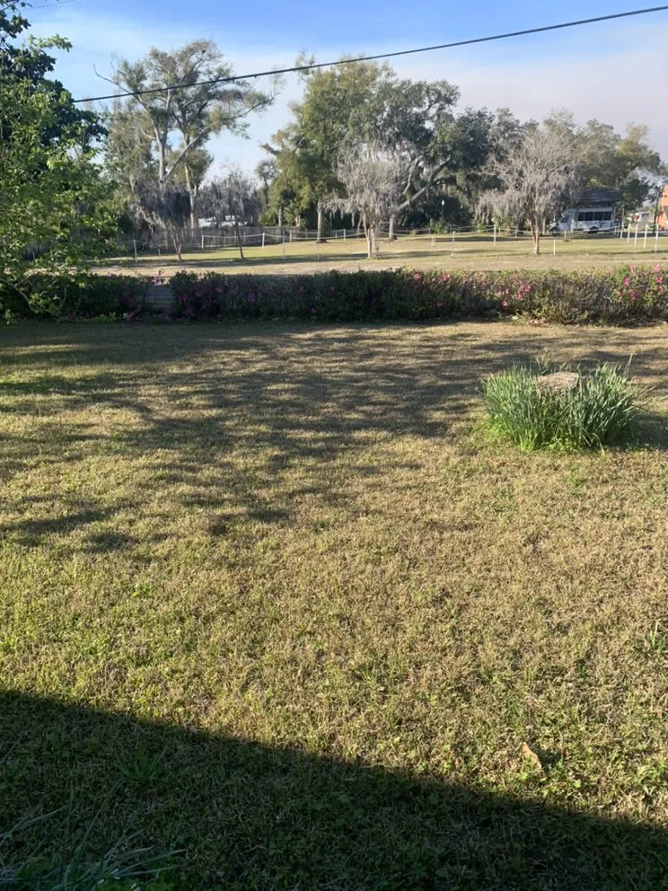 Reliable landscape design experts serving Youngstown, FL - Straight Line Lawn Care